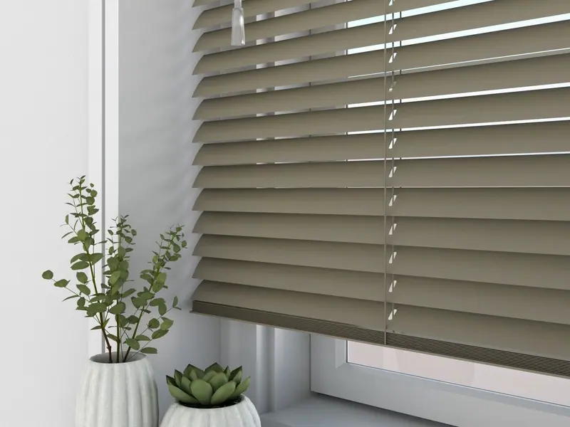 Wide-slat venetian blind beside potted plants
